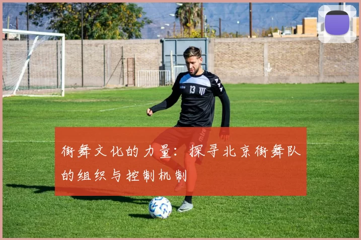 街舞文化的力量：探寻北京街舞队的组织与控制机制