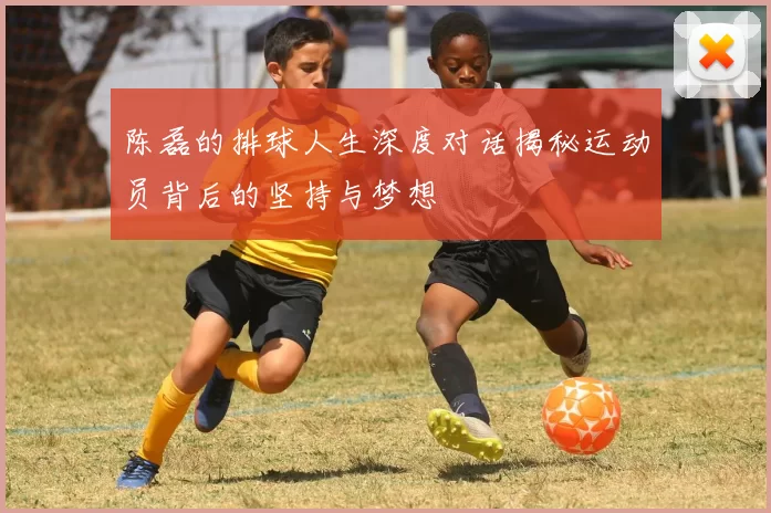陈磊的排球人生深度对话揭秘运动员背后的坚持与梦想