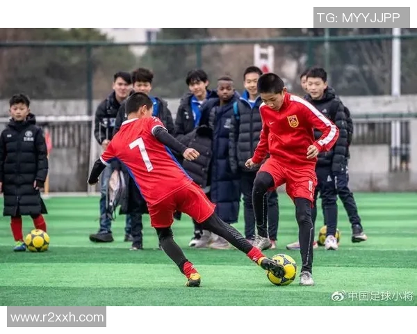 南京足球队的节奏探秘：从历史传承到未来展望的全面分析